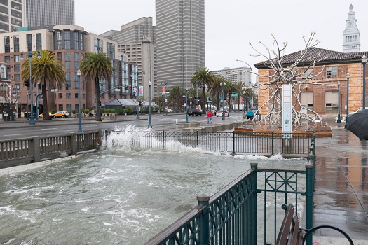 California Businesses Launch Major New Climate Resilience Initiative image