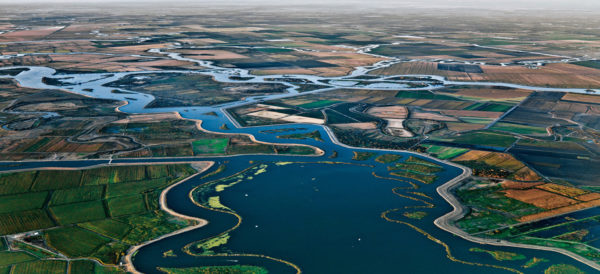 Council Welcomes Order by Newsom to Increase Delta Water Deliveries image