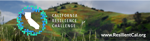 California Resilience Challenge Winners Announced image