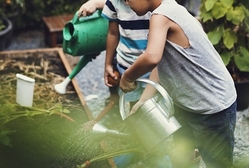 California Resilience Challenge Spotlight: Transforming Schools Into Resilience Centers image