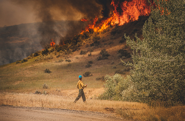 Bay Area Council Urges Gov. Newsom to Sign Wildfire Bill image