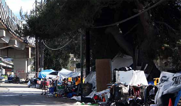 Council Examining Newsom Plan for Treating Homeless with Mental Health, Substance Abuse Disorders image