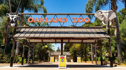Member Spotlight: Oakland Zoo Reopens, Needs Your Support image