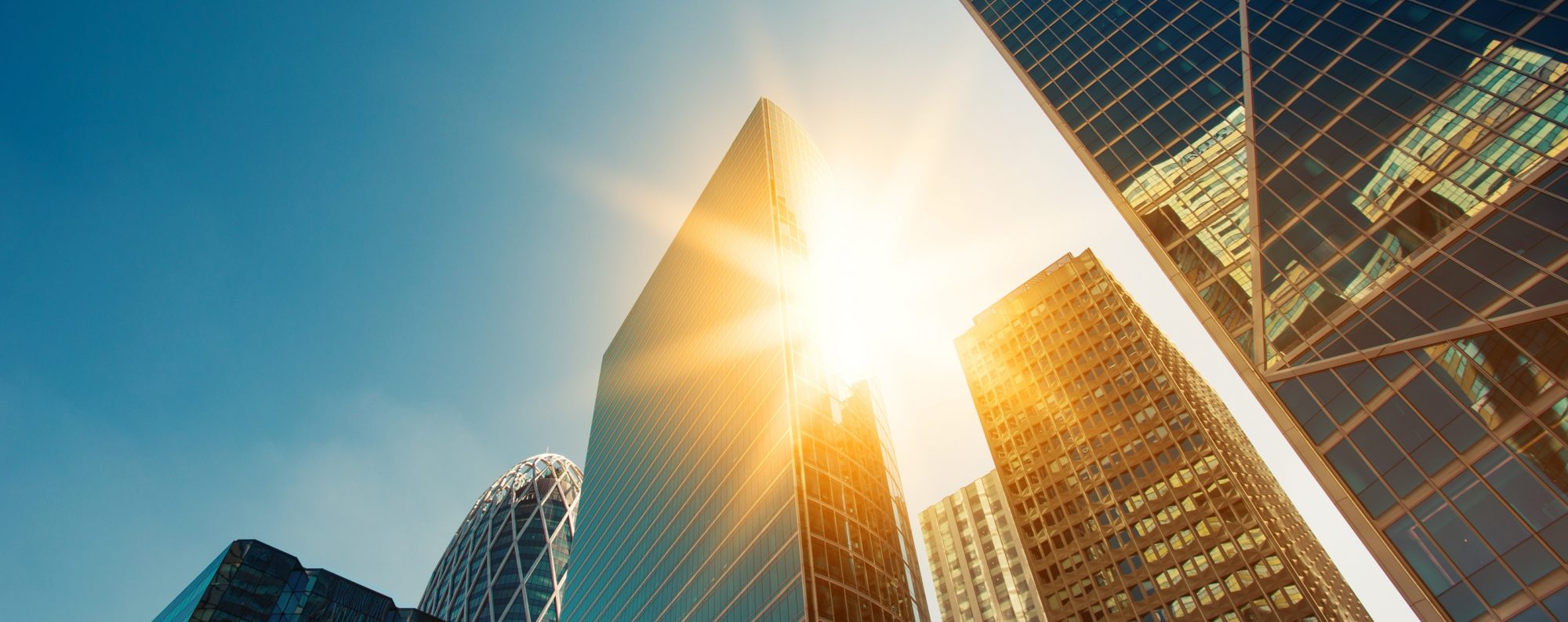  Sustainability image