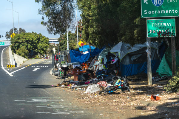 Council Co-Sponsoring Game-Changing Legislation Aimed at Unsheltered Homelessness image