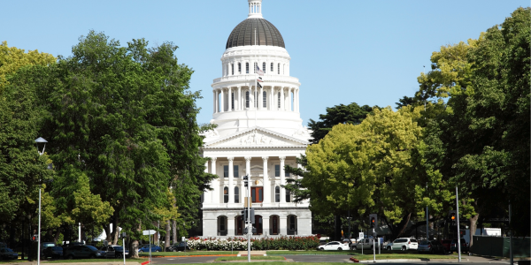 Senate Appropriations Committee Results Announce Future of Council-Sponsored Bills image