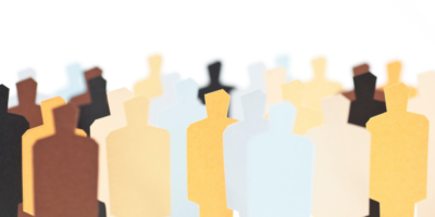 Bay Watch: New Census Data Highlights Shifting Diversity featured image