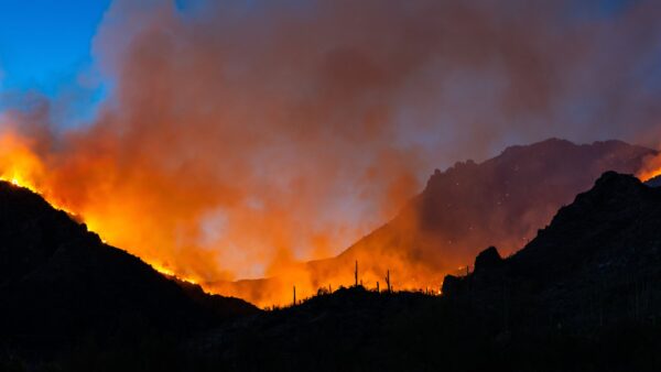 Council Joins Wildfire Solutions Coalition, Stays on Top of Delta Water Plan image